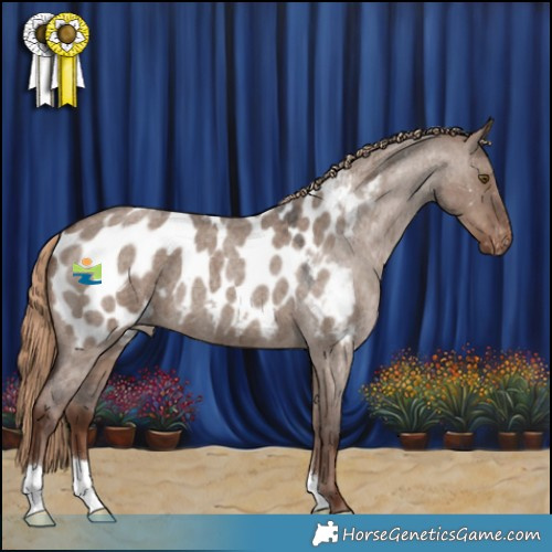 Horse Color:Liver Red Dun Roan Blanket 