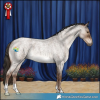 Horse Color:Liver Red Dun Roan 