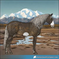 Horse Color:Silver Buckskin Frame 