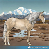 Horse Color:Silver Buckskin Pearl Splash 