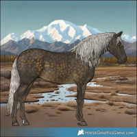 Horse Color:Silver Buckskin 