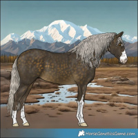 Horse Color:Silver Buckskin 