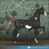 Horse Color:Liver Chestnut Frame