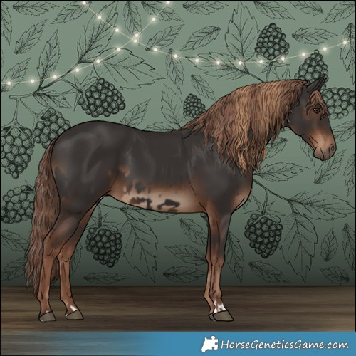 Horse Color:Liver Chestnut  and Liver Chestnut 