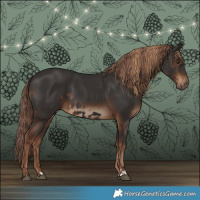 Horse Color:Liver Chestnut  and Liver Chestnut 
