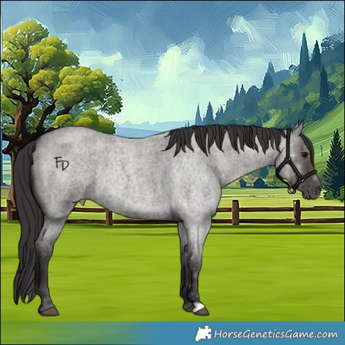 Horse Color:Smoky Grullo Roan 