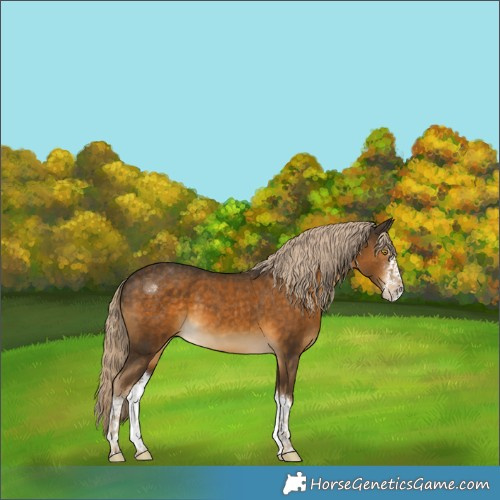 Horse Color:White Spotted Chocolate Palomino Mushroom