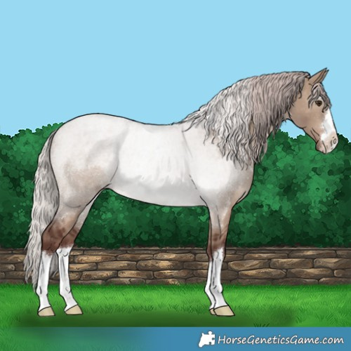 Horse Color:Chocolate Silver Brown Dun