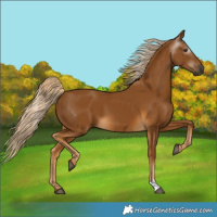 Horse Color:Gray Palomino 