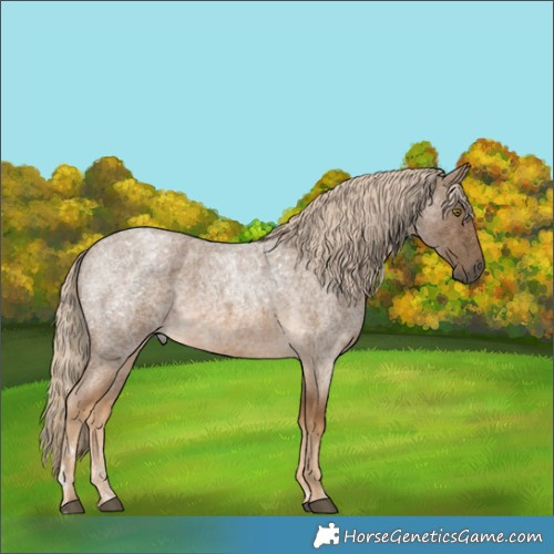 Horse Color:Chocolate Palomino Roan 