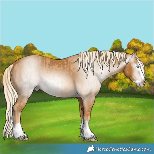 Horse Color:Gray Cremello Splash  and Gray Palomino Splash 