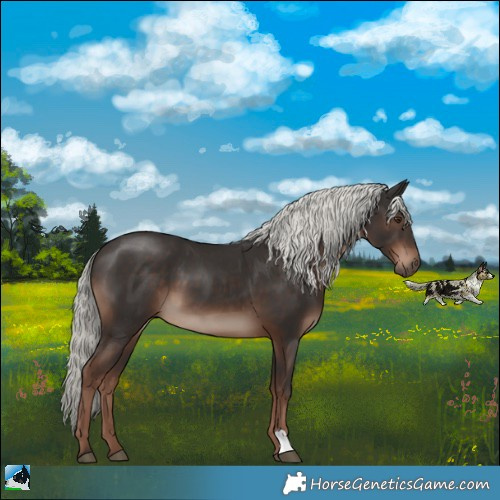 Horse Color:Liver Chestnut Mushroom 