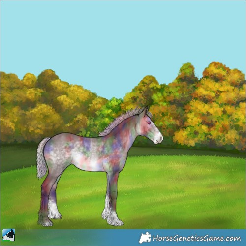 Horse Color:Nacre Chocolate Silver Brown Chinchilla Sabino Rabicano 