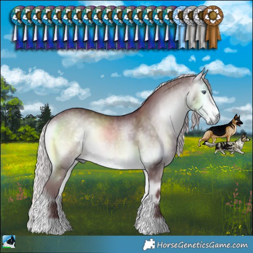 Horse Color:Chocolate Silver Buckskin Chinchilla Onyx Rabicano 