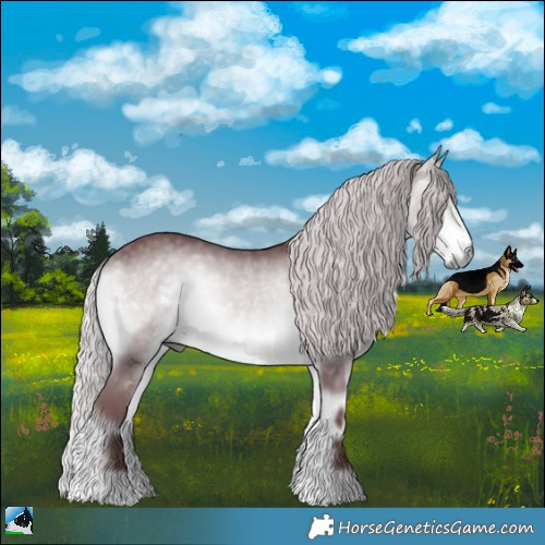 Horse Color:Chocolate Silver Buckskin Chinchilla Onyx Rabicano 