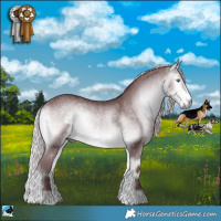 Horse Color:Chocolate Silver Buckskin Chinchilla Onyx Rabicano 