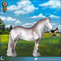 Horse Color:Chocolate Silver Buckskin Chinchilla Onyx Rabicano 