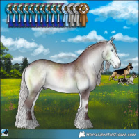 Horse Color:Chocolate Silver Buckskin Chinchilla Onyx Rabicano 