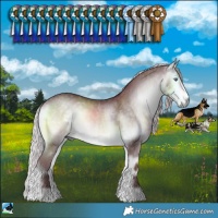 Horse Color:Chocolate Silver Buckskin Chinchilla Onyx Rabicano 