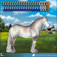 Horse Color:Chocolate Silver Buckskin Chinchilla Onyx Rabicano 