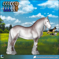 Horse Color:Chocolate Silver Buckskin Chinchilla Onyx Rabicano 
