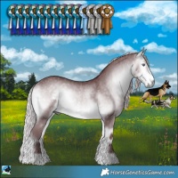 Horse Color:Chocolate Silver Buckskin Chinchilla Onyx Rabicano 