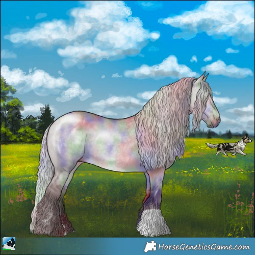 Horse Color:Nacre Chocolate Silver Brown Chinchilla Dun 