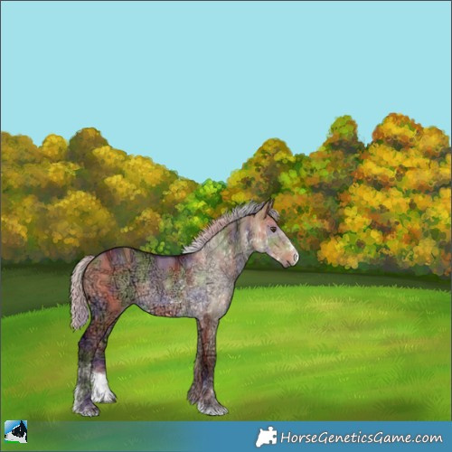 Horse Color:Nacre Chocolate Silver Buckskin Ice Dun Sabino Rabicano 