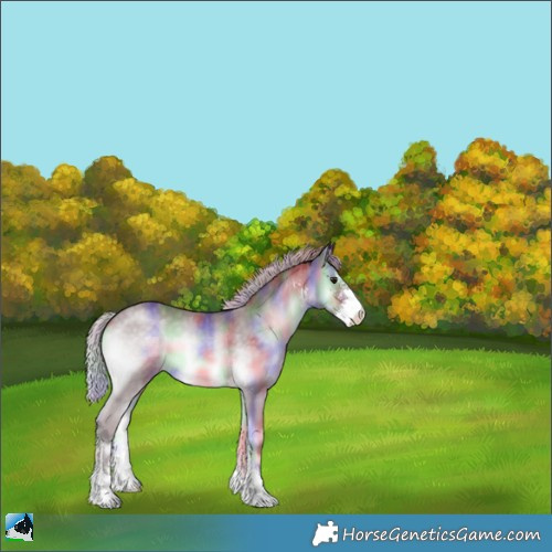 Horse Color:Nacre Chocolate Silver Blue Onyx Chinchilla Sabino 