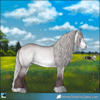 Horse Color:Chocolate Silver Bay Chinchilla Dun Rabicano
