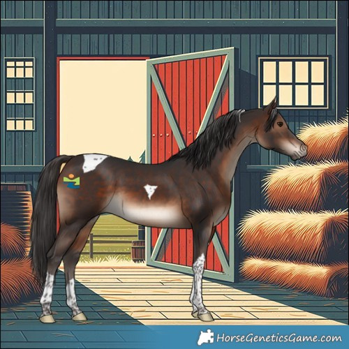 Horse Color:Brown Tobiano 