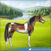 Horse Color:Bay Tobiano 