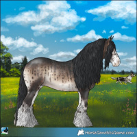 Horse Color:Brown Onyx Mushroom Sabino Rabicano