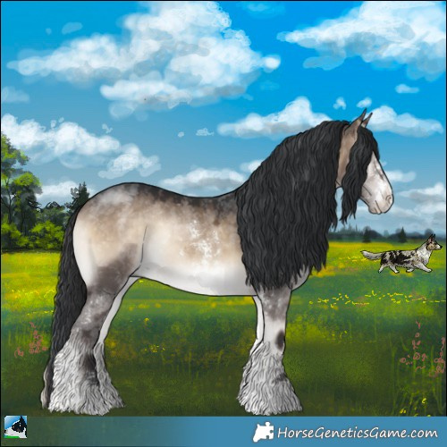 Horse Color:Brown Onyx Sabino Rabicano 