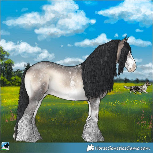 Horse Color:Brown Onyx Mushroom Sabino Rabicano 