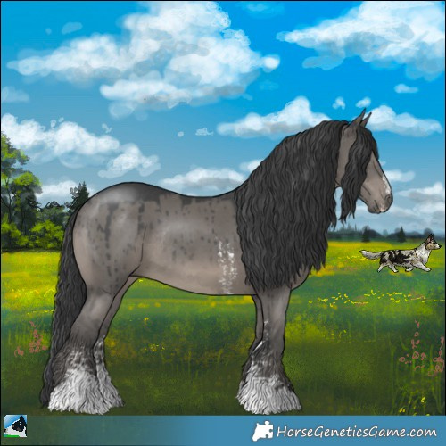 Horse Color:Grullo Sabino Rabicano Brindle