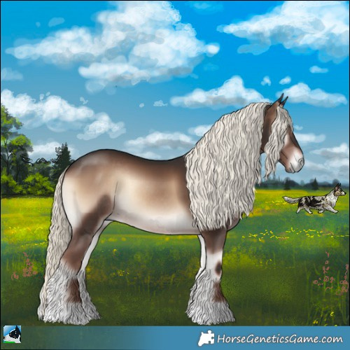 Horse Color:Liver Red Onyx Mushroom Rabicano