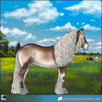 Horse Color:Liver Red Onyx Mushroom Rabicano 