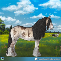 Horse Color:Liver Red Dun Onyx Rabicano Brindle 