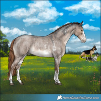 Horse Color:Liver Red Dun Roan Sabino Rabicano Brindle