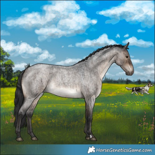 Horse Color:Brown Roan Dun Brindle 