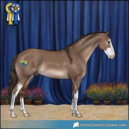 Horse Color:Liver Red Dun Sabino 