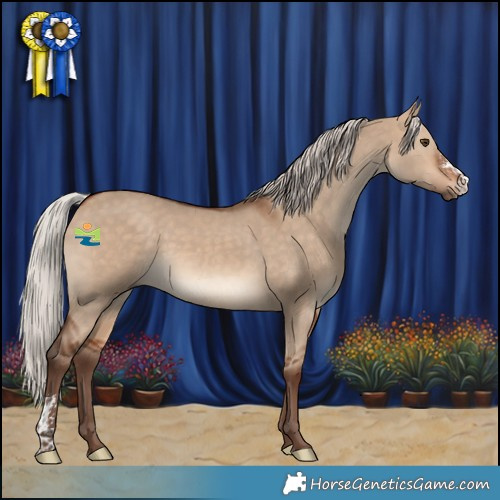 Horse Color:Silver Bay Dun Sabino 