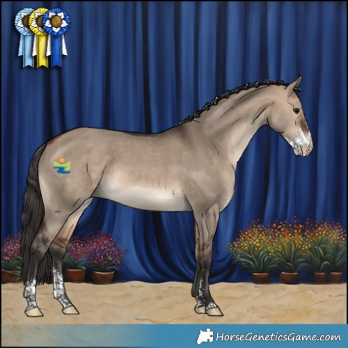 Horse Color:Bay Dun Sabino 