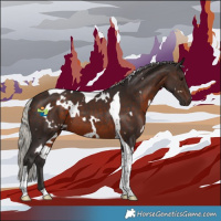 Horse Color:White Spotted Silver Brown Tobiano