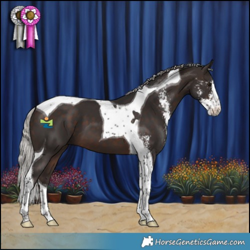 Horse Color:Silver Brown Sabino Tobiano 