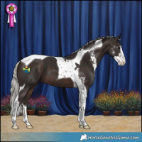 Horse Color:Silver Brown Sabino Tobiano 