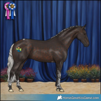 Horse Color:Silver Brown Tobiano 