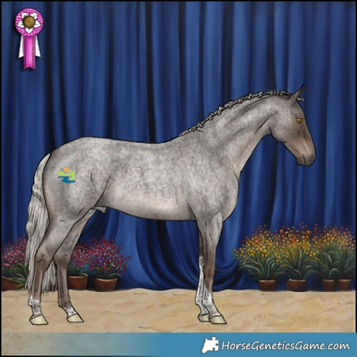 Horse Color:Silver Blue Roan Tobiano