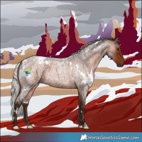 Horse Color:White Spotted Silver Brown Roan